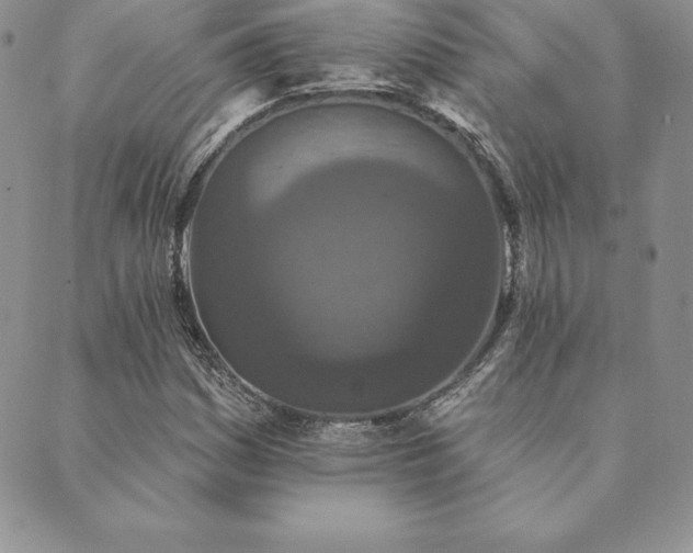 X0000089861161200706281243