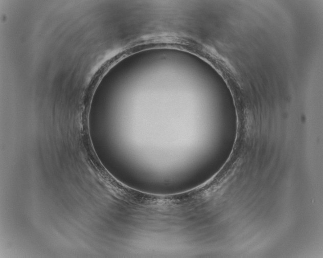 X0000089861166200706281243