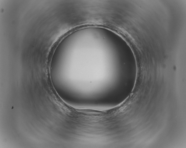 X0000089861168200706281243