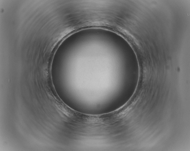 X0000089861170200706281243