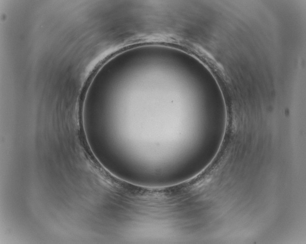 X0000089861174200706281243