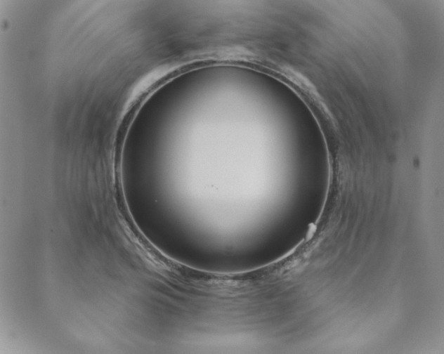 X0000089861176200706281243