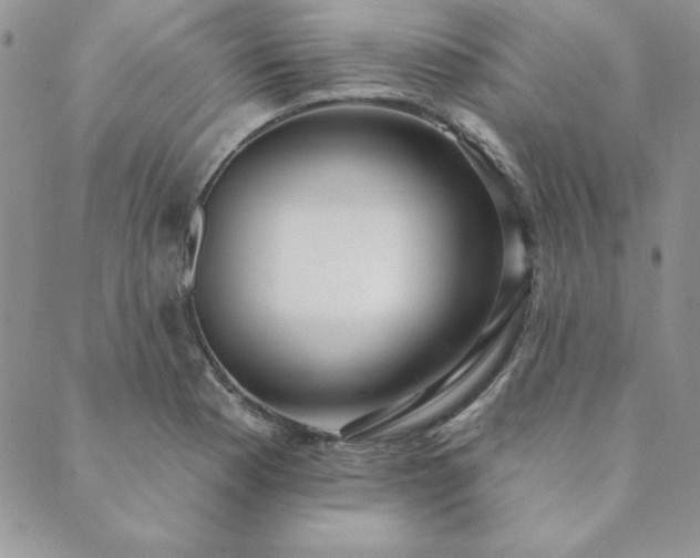 X0000089861177200706281243