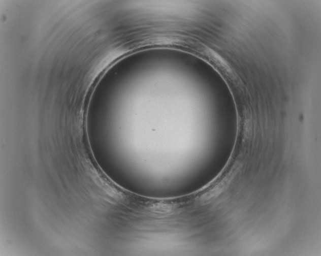 X0000089861178200706281243