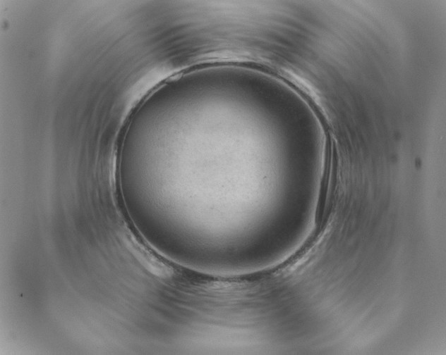 X0000089861179200706281243