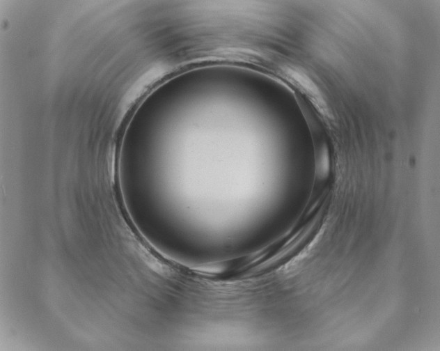 X0000089861180200706281243