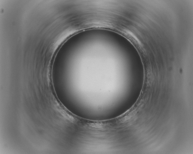 X0000089861182200706281243