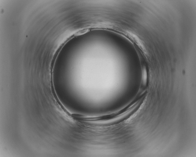 X0000089861184200706281243