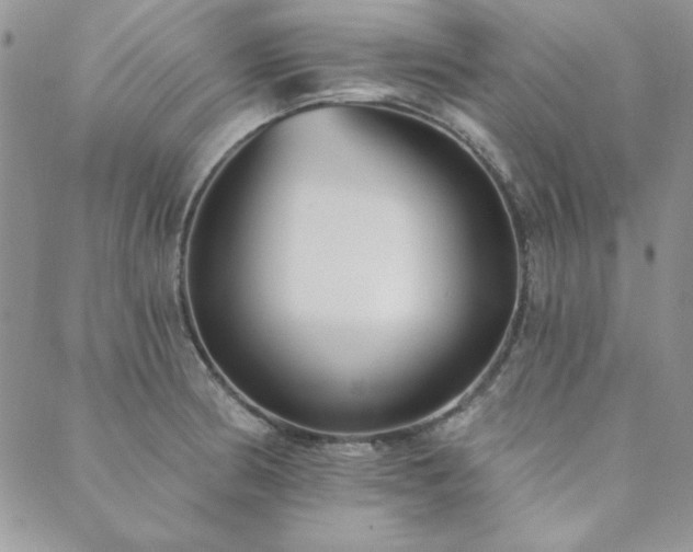 X0000089861186200706281243