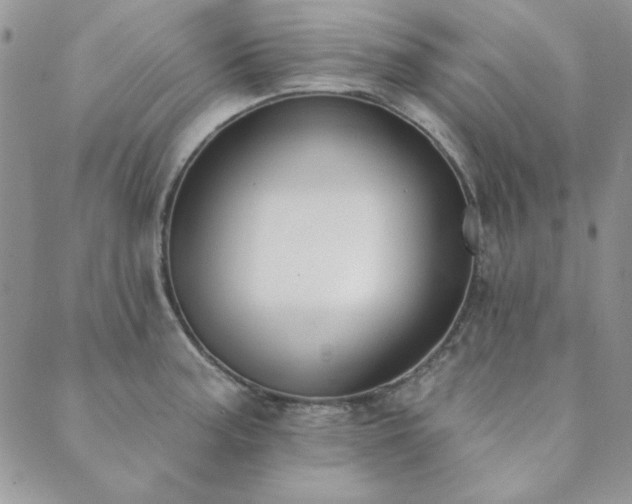 X0000089861187200706281243