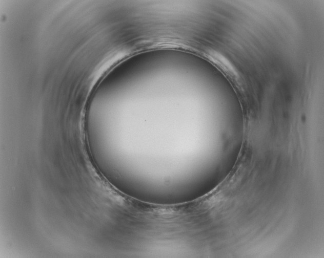 X0000089861190200706281243