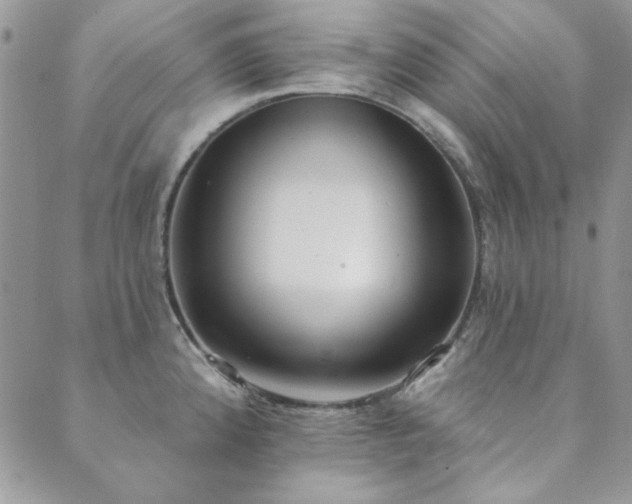 X0000089861192200706281243