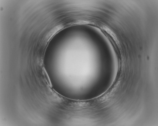X0000089861193200706281243