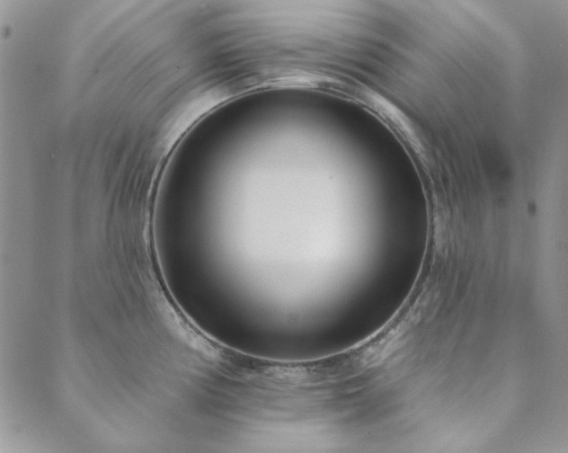 X0000089861194200706281243