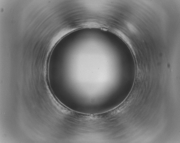 X0000089861195200706281243