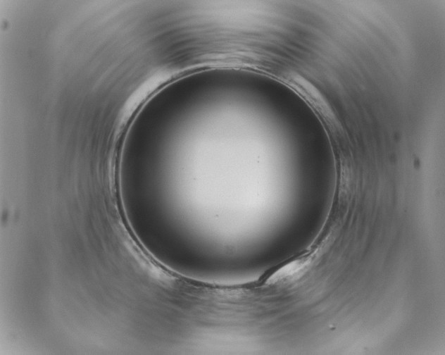 X0000089861196200706281243