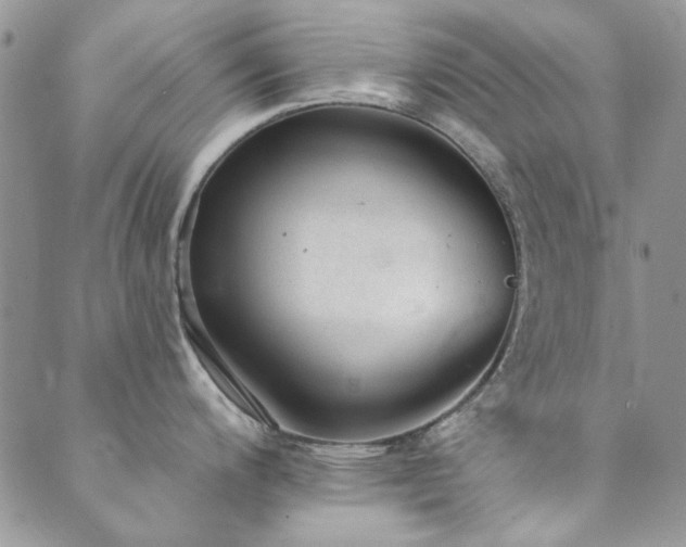 X0000089861200200706281243