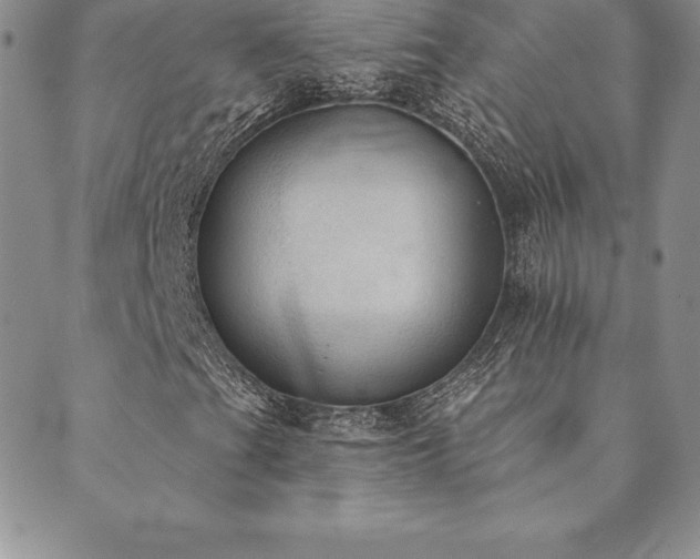 X0000089861201200706281242
