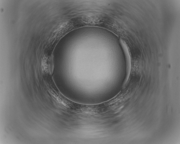 X0000089861202200706281242