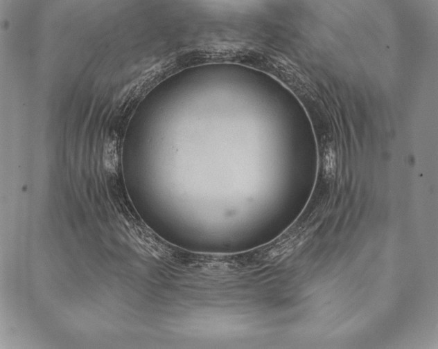X0000089861204200706281242