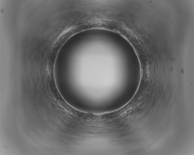 X0000089861206200706281242