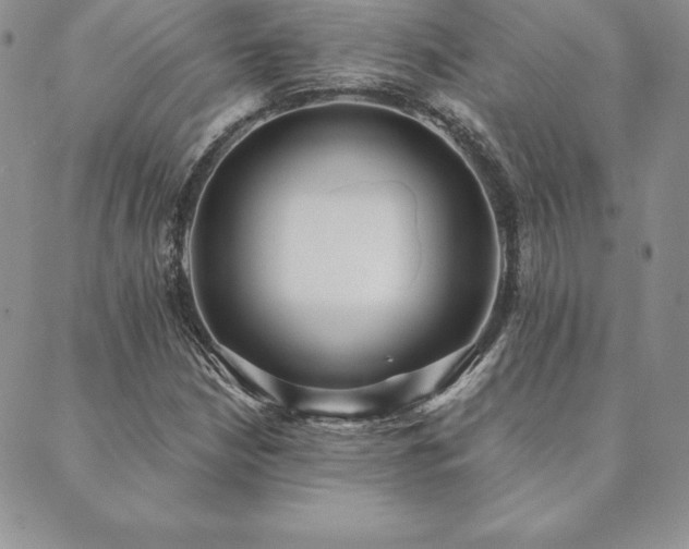 X0000089861210200706281242