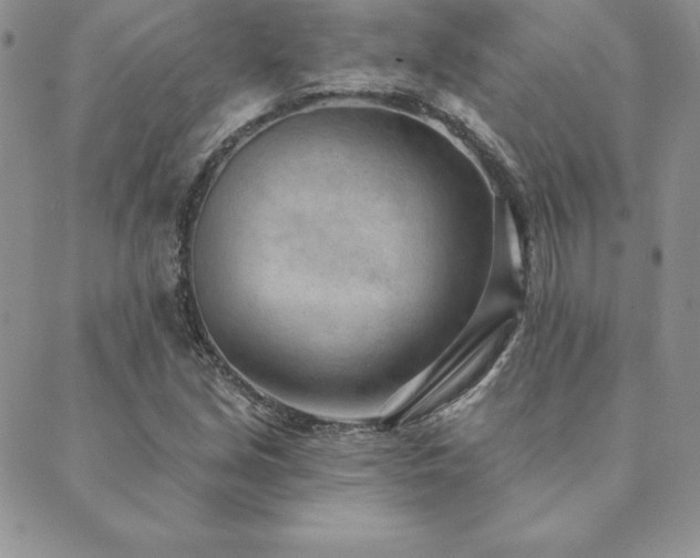 X0000089861213200706281242
