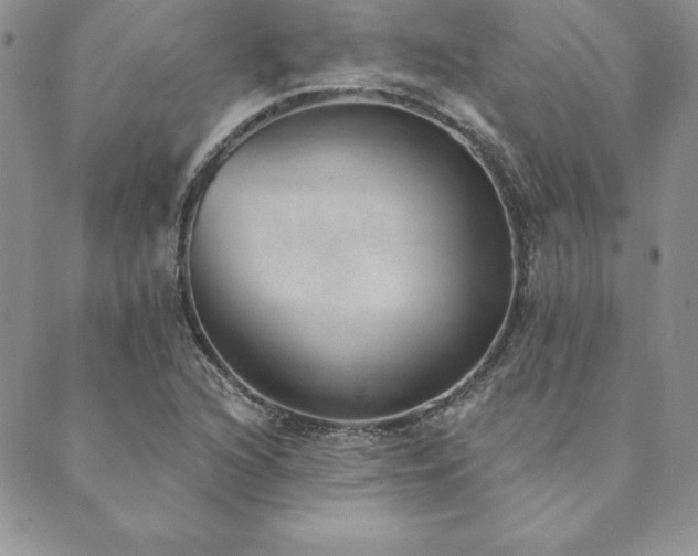 X0000089861216200706281242