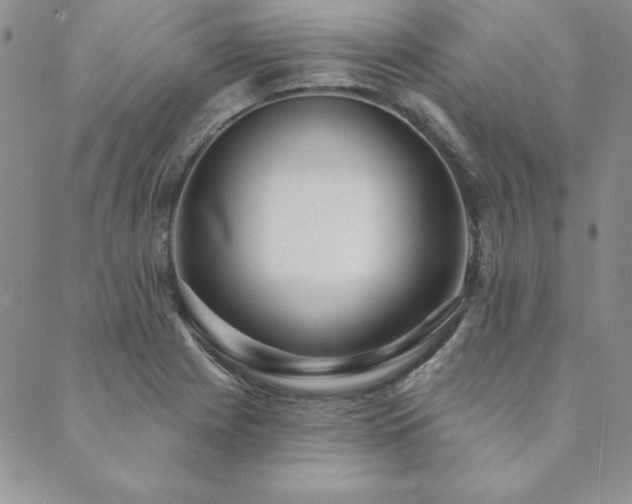 X0000089861225200706281242