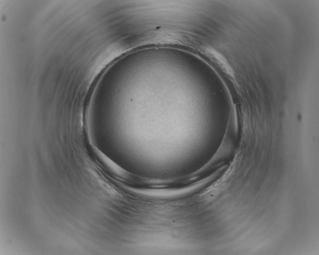 X0000089861226200706281242