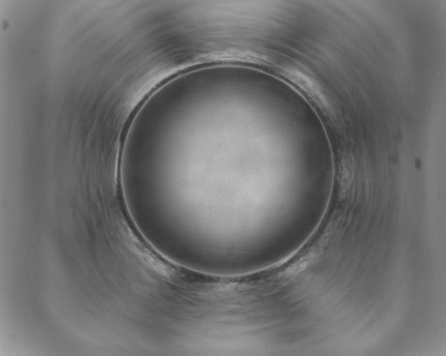 X0000089861228200706281242