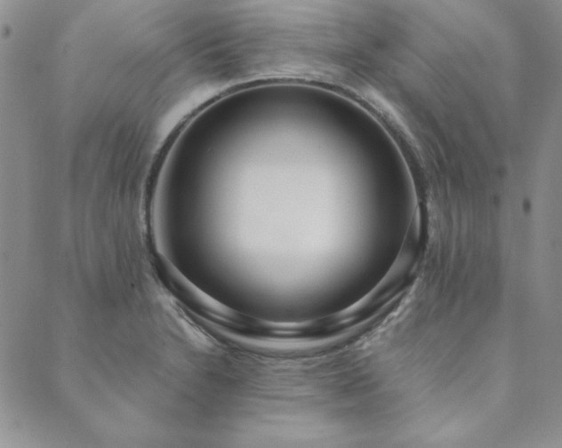 X0000089861230200706281243