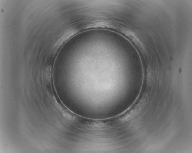 X0000089861233200706281243