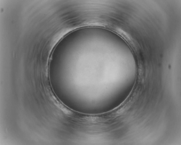 X0000089861236200706281243