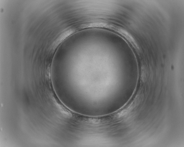 X0000089861241200706281243