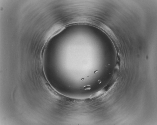X0000089861242200706281243