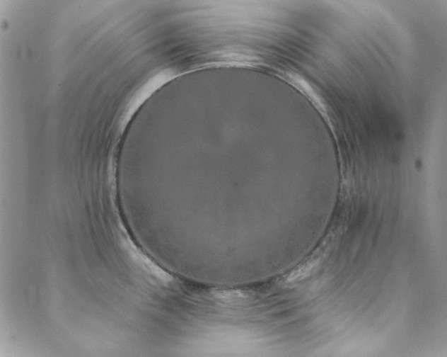 X0000089861243200706281243