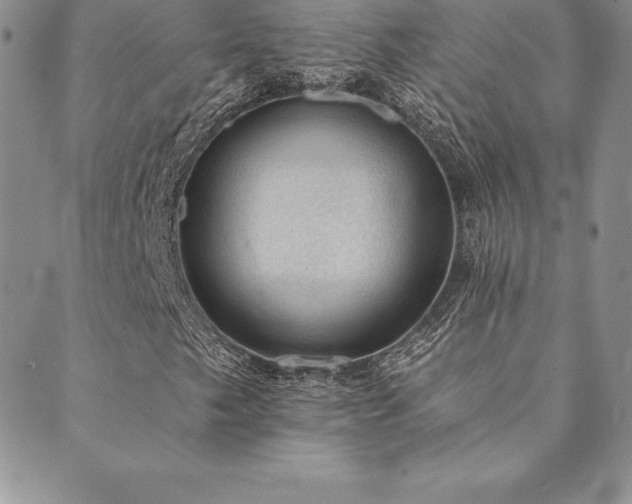 X0000089861249200706281242