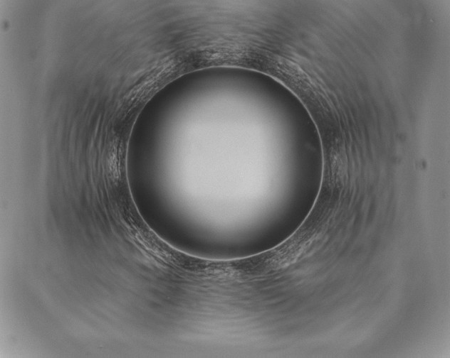 X0000089861250200706281242