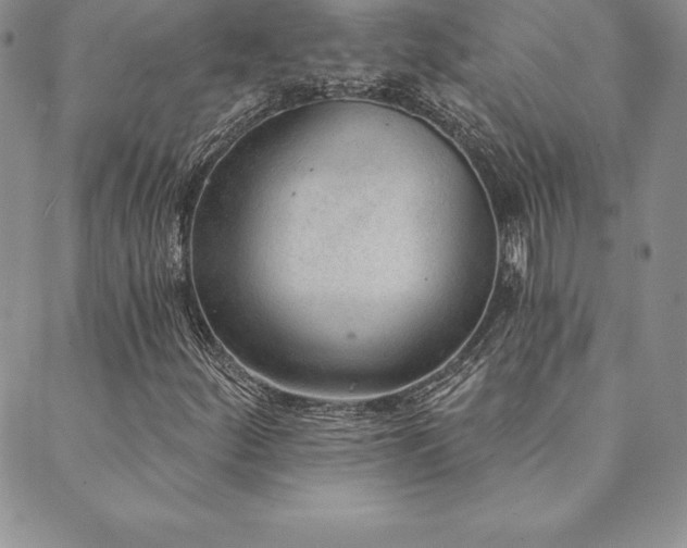 X0000089861252200706281242