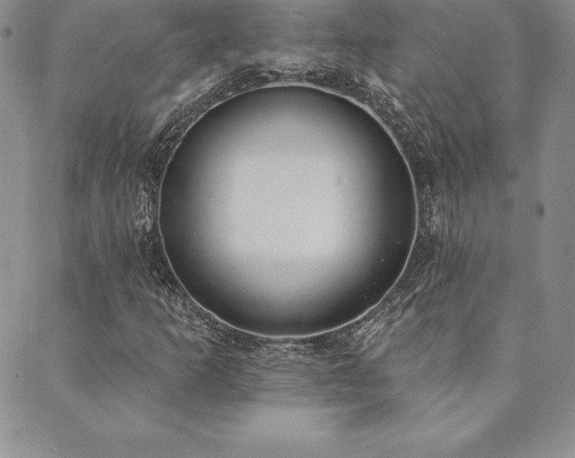 X0000089861253200706281242
