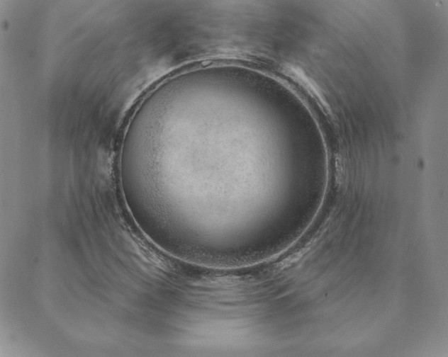X0000089861260200706281242