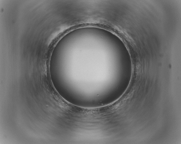 X0000089861262200706281242