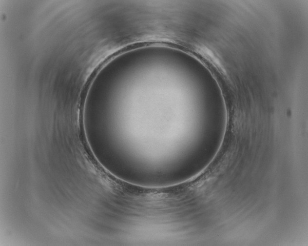 X0000089861268200706281242