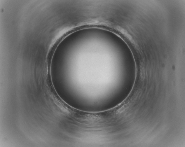 X0000089861270200706281242