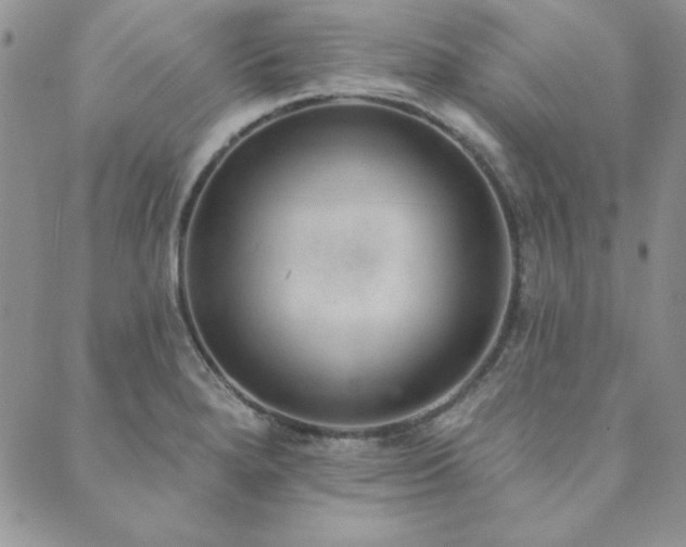 X0000089861280200706281242