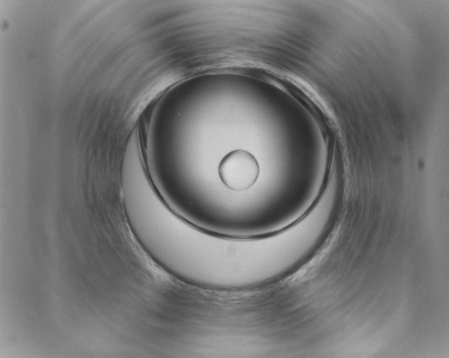 X0000089861289200706281241