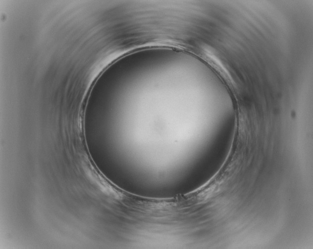 X0000089861292200706281241