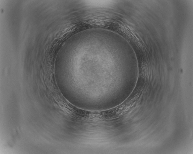 X0000089861297200706281240