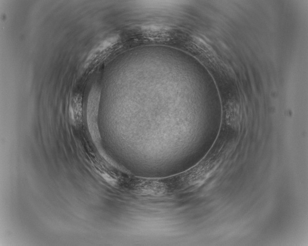 X0000089861298200706281241